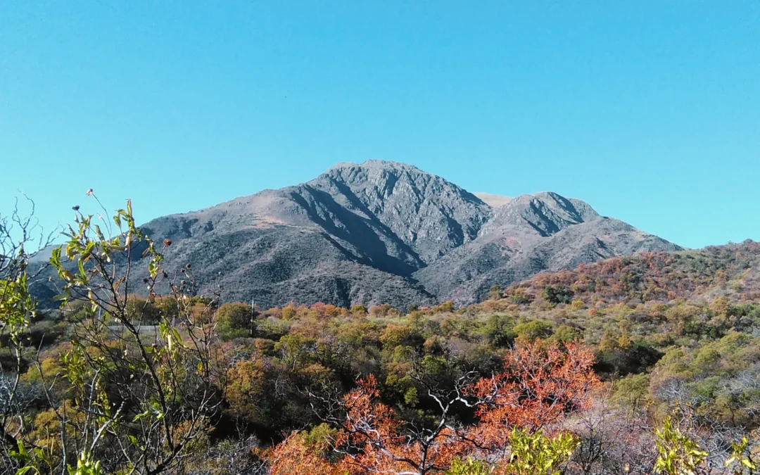 ¿Cómo piensan las montañas?